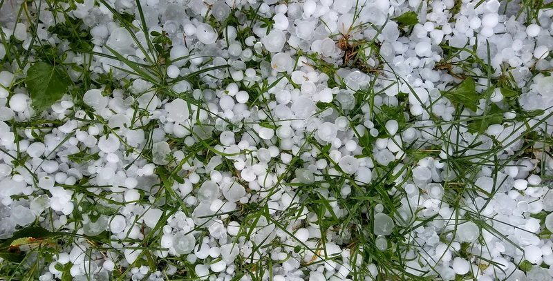 Slika 8 Poljoprivrednici očajni