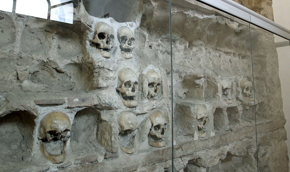 Cele kula novo lice 7