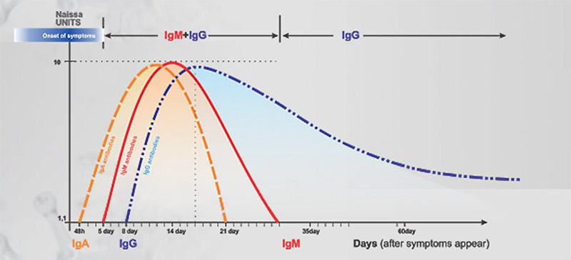 Corona Naissa table1 2ng