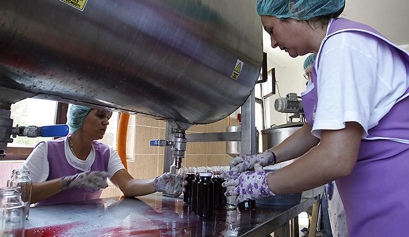 EUPRO Olivera Kostic 10