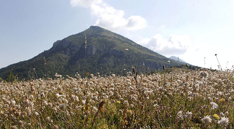 Ekologija turizam Ekoloskikoraci 5