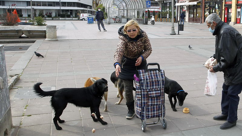 Heroji vanrednogstanja coronavirus 04