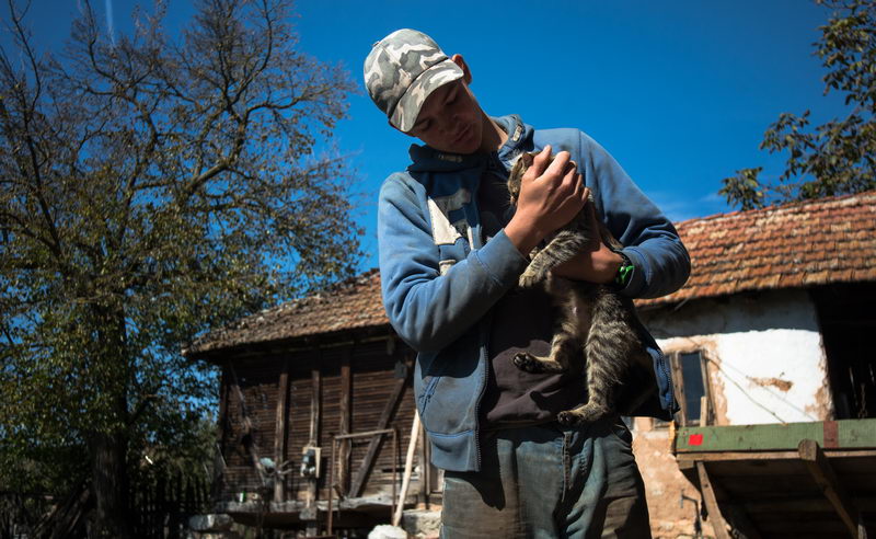 JovanNikolic selo Vrmdza 05