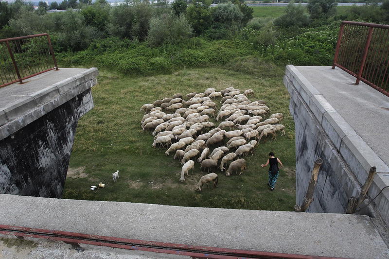 Most selo Donje Krajince 08