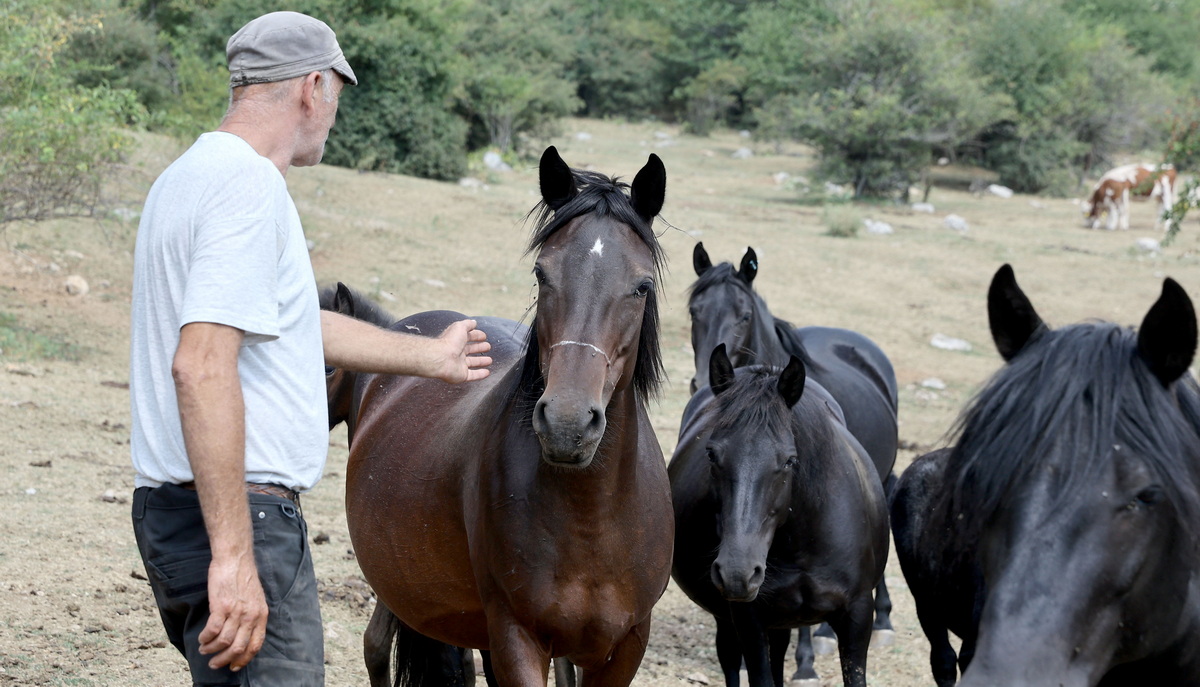 Susa Suva planina 2024 1 2