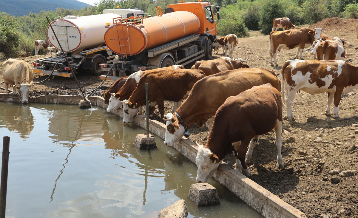 Susa Suva planina 2024 7 2