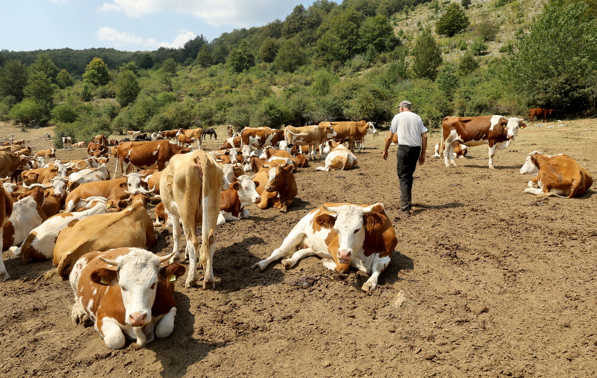 Susa Suva planina 2024 9 2