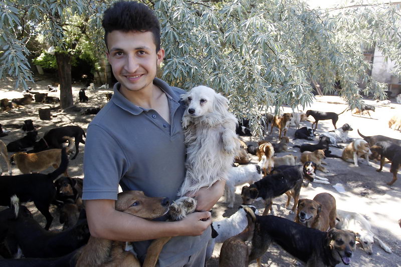 azil za pse SasePesica 4