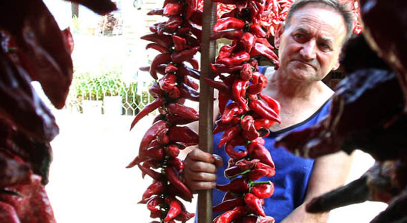 b palanka navodnjavanje 1