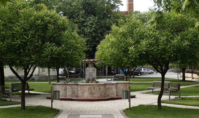 belapalanka remizijana 1