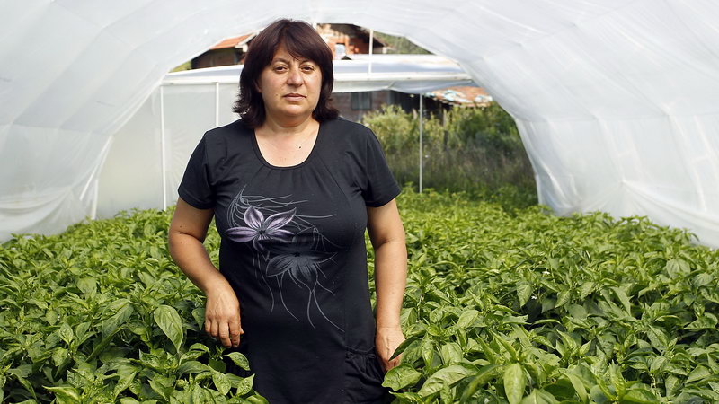 darovi luznice eupro 10