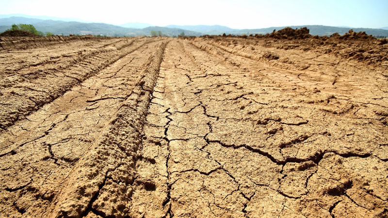 ekologija dw poglavlje27 13