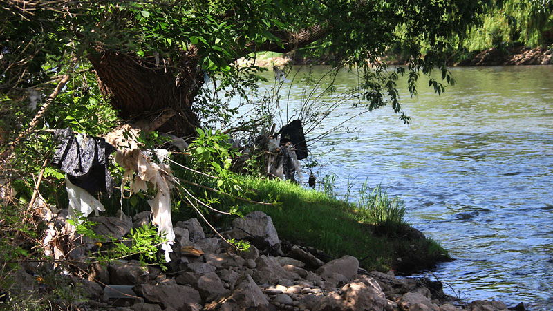 ekologija dw poglavlje27 2