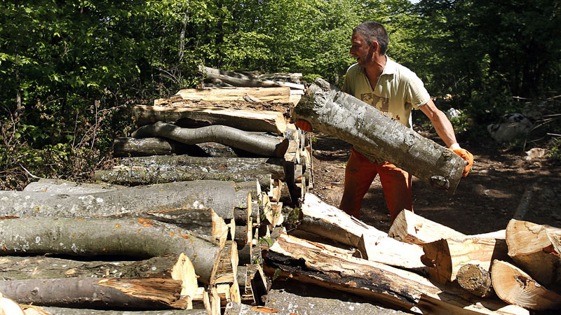 ekologija dw poglavlje27 7