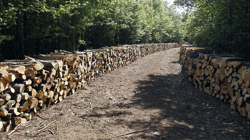 ekologija dw poglavlje27 8