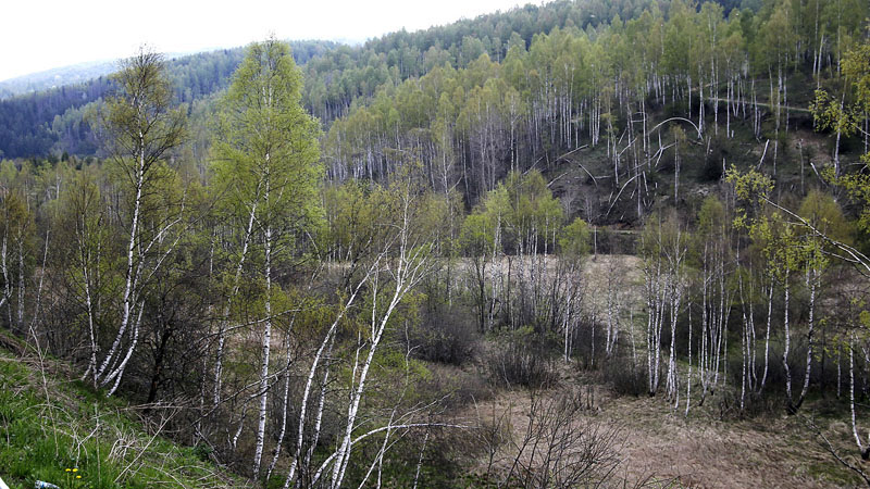 ekologija dw poglavlje27 9