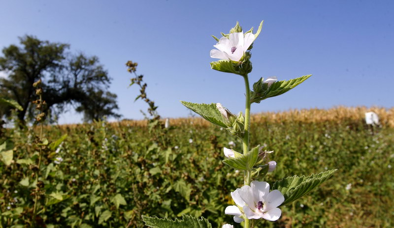 ekologija prirodna stanista 1