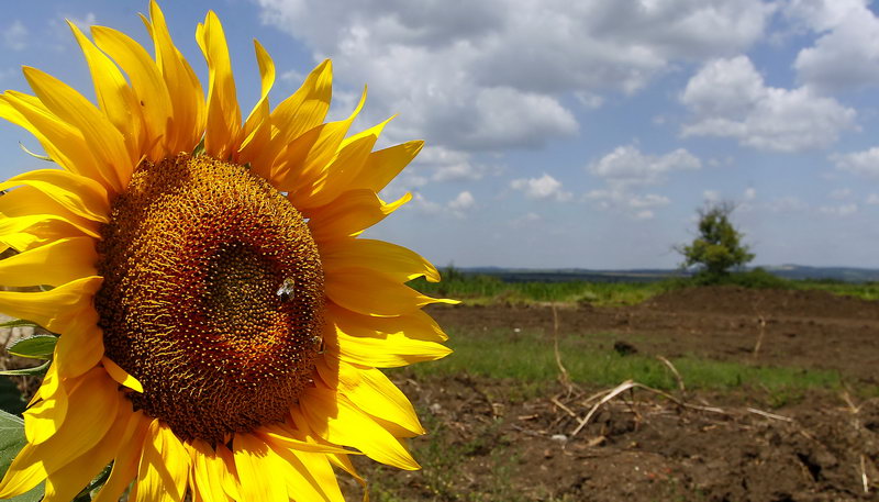 ekologija prirodna stanista 2