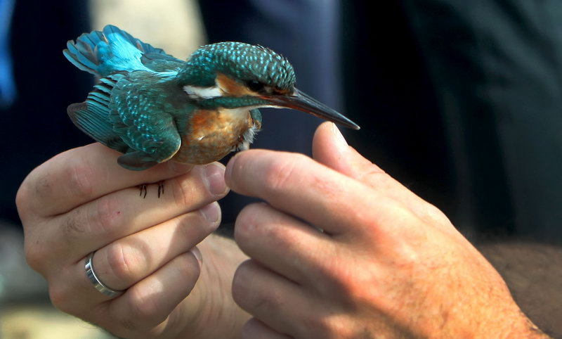 ekologija prirodna stanista 4