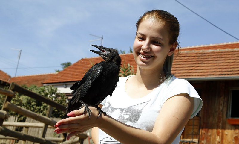 ekologija prirodna stanista 9