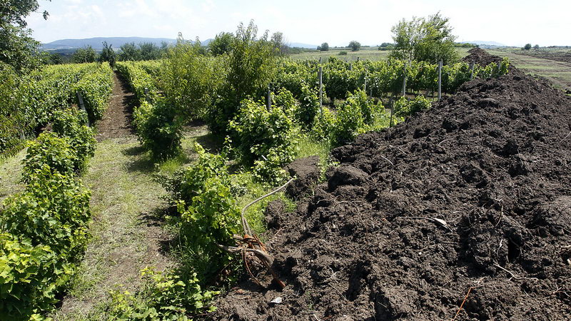 gasovod turskitok 16