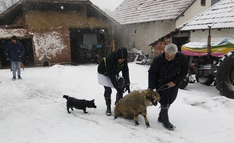 jasenovik evakuacija 07
