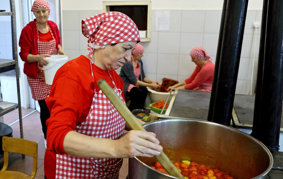 Radanska ruža, uspešan model socijalnog preduzetništva