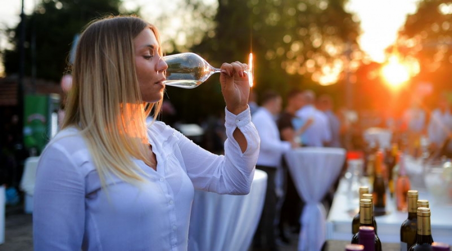 Umetnost i tradicija vinarstva na sajmu “Naissus wine &amp; fine fair”