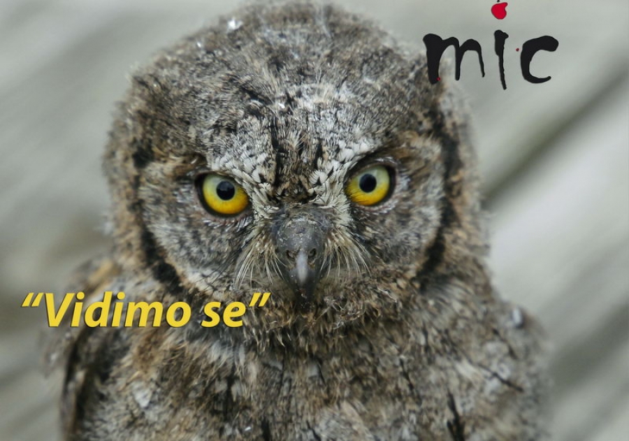 Izložba fotografija ‘’Vidimo se’’: Najlepši predeli Niša i okoline