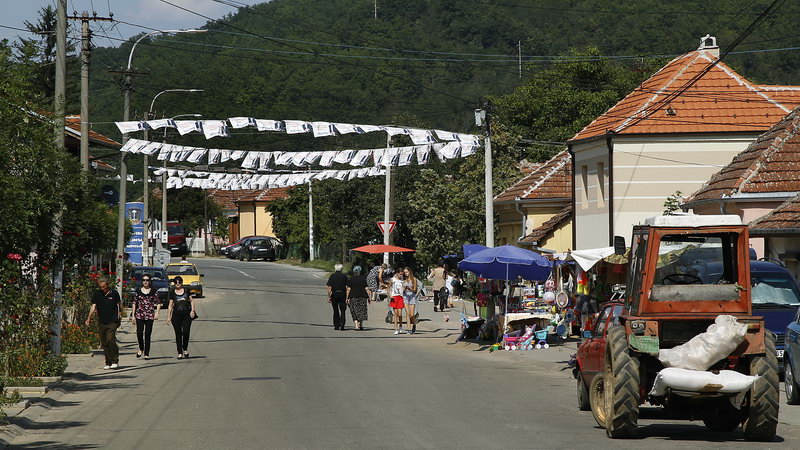 Medvedja izbori 08