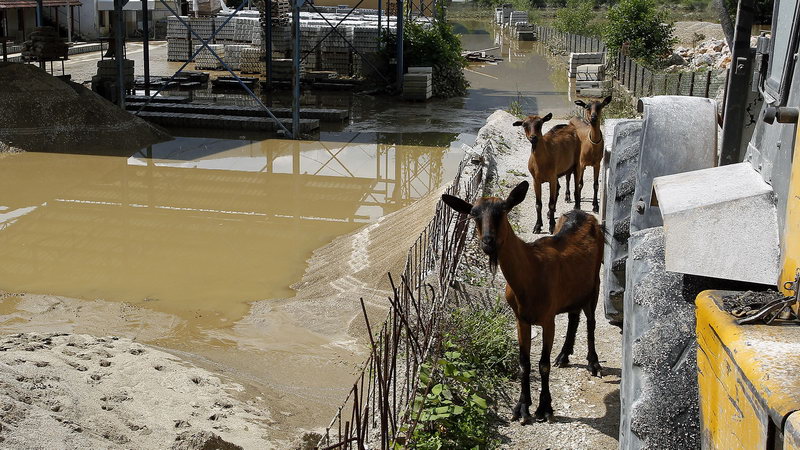 Poplave Lucani 08