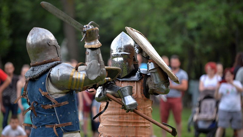 Viteski festival 14