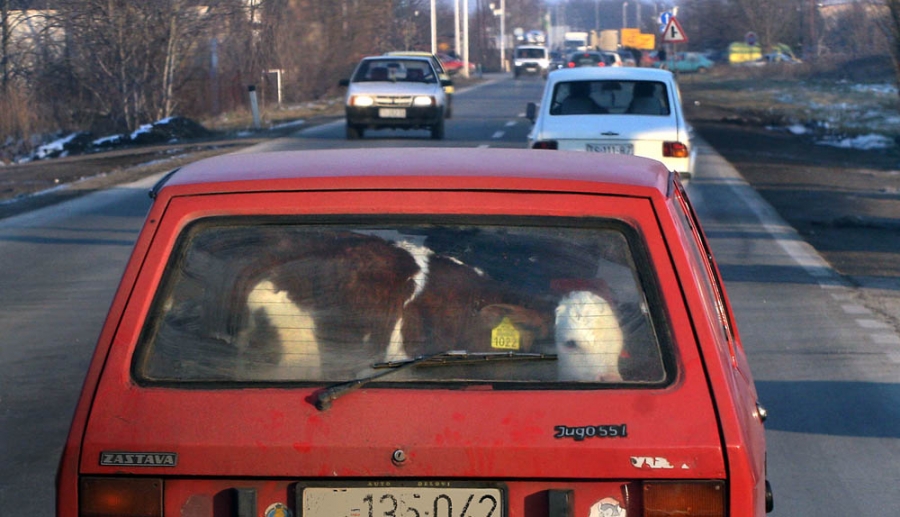 Šerpasi sa mramorske pijace