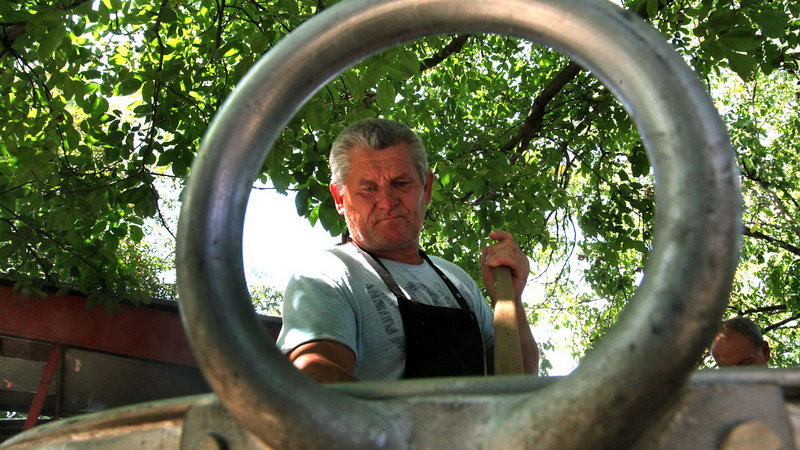 ajvar brestovac 01