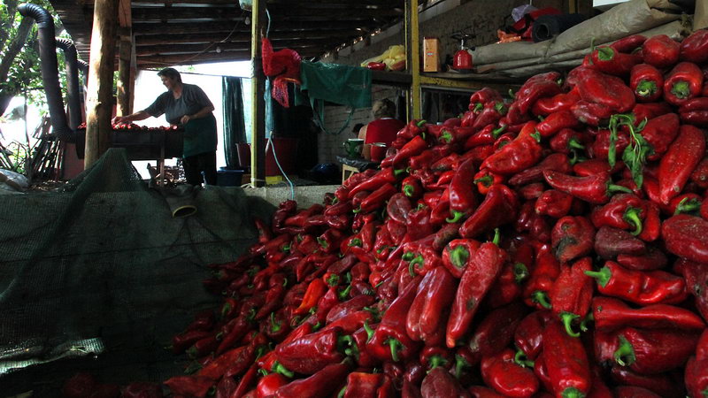 ajvar brestovac 02