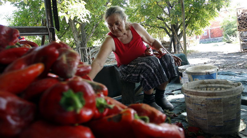 ajvar brestovac 05