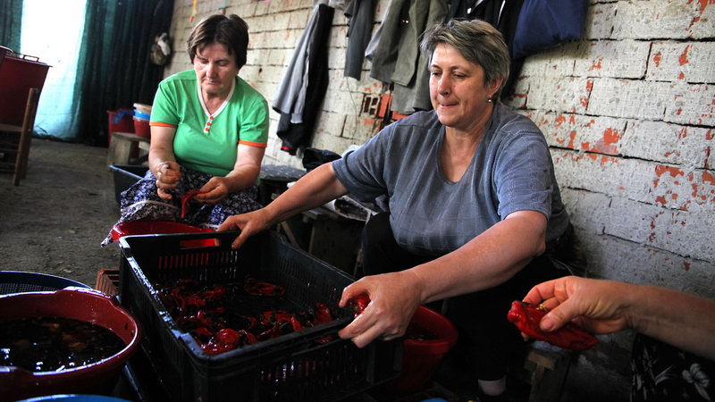ajvar brestovac 09