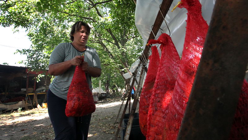 ajvar brestovac 11