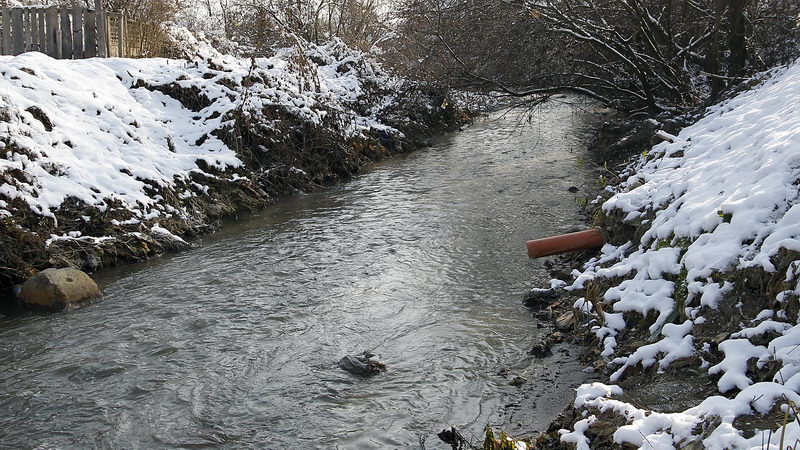 borska reka 11