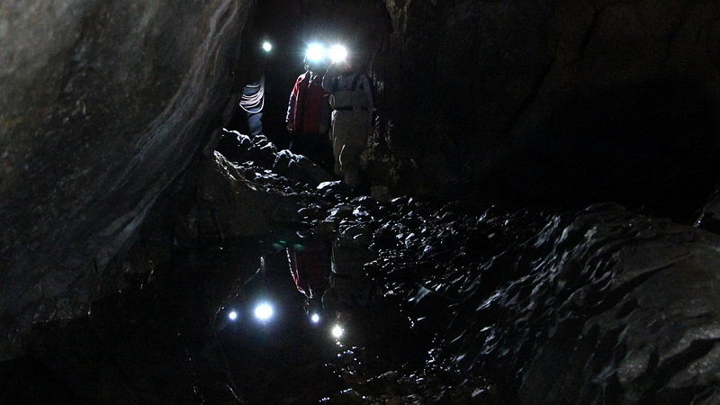 cerjanska pecina 11
