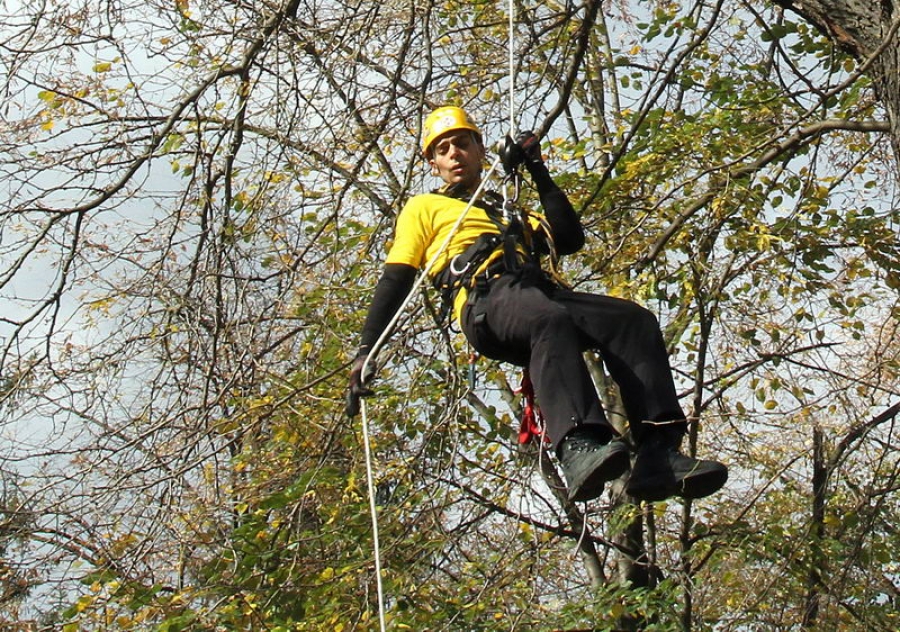 "Animal rescue Serbia" - spašavaju životinje, ali i ljude