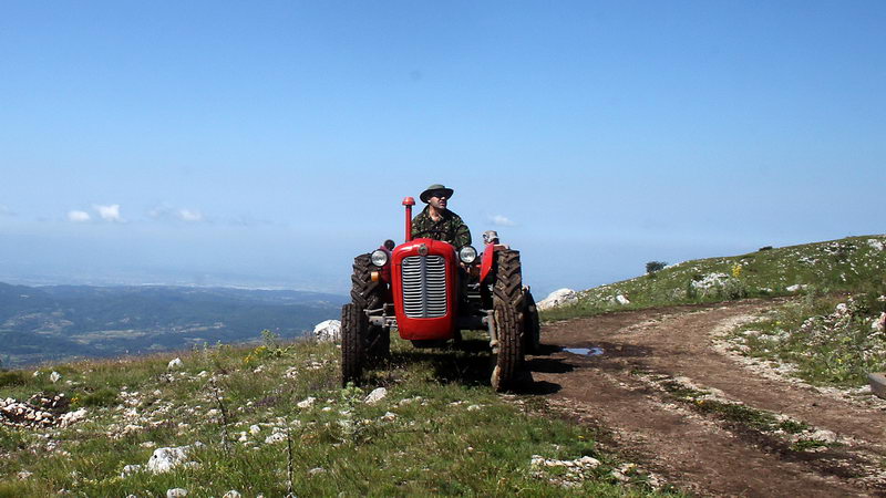 hajducki viseboj 12
