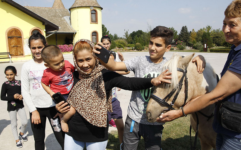 migranti ergela subotica 3