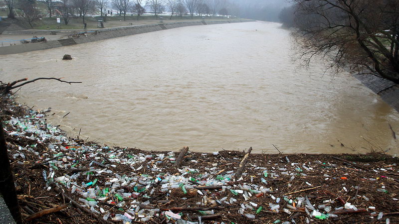 polave Jug Srbija 01
