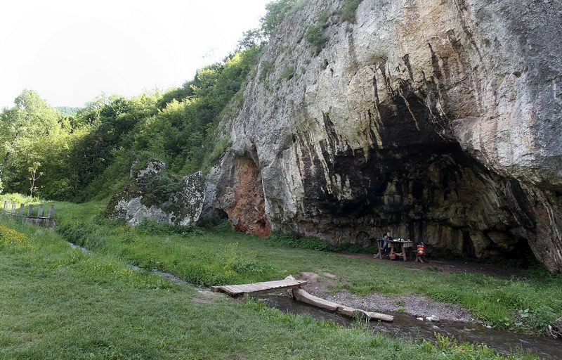 ramonda serbika 7