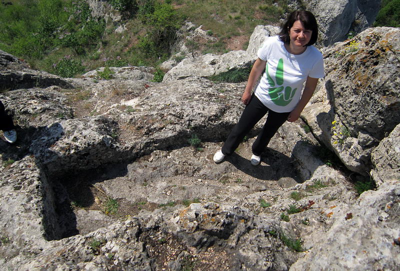 ramonda serbika 9