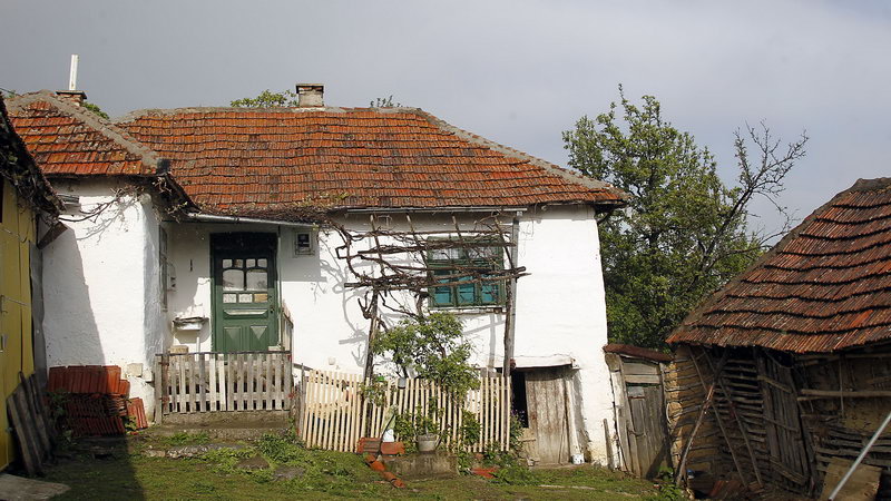 strbovac 26