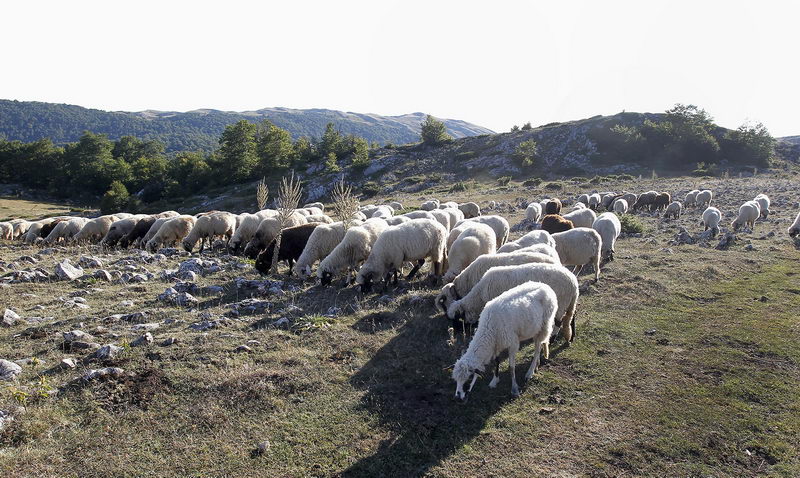suva planina 10
