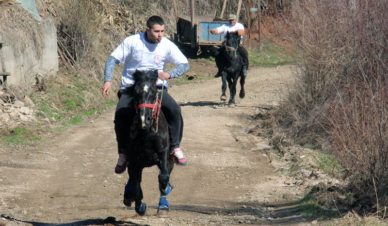 trka konja 3
