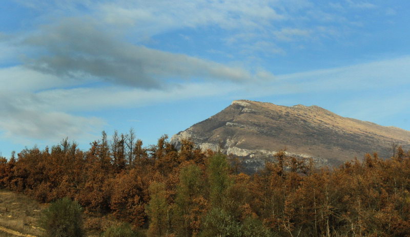 vrmdza 07